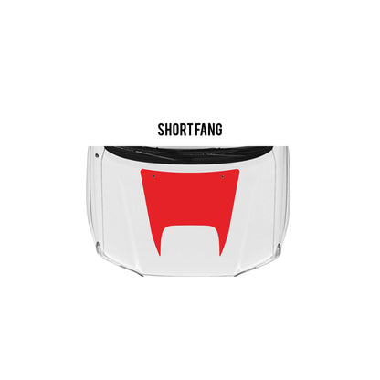 2005-15 Tacoma Checkered Stripe Kit