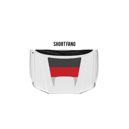 2005-15 Tacoma Checkered Stripe Kit