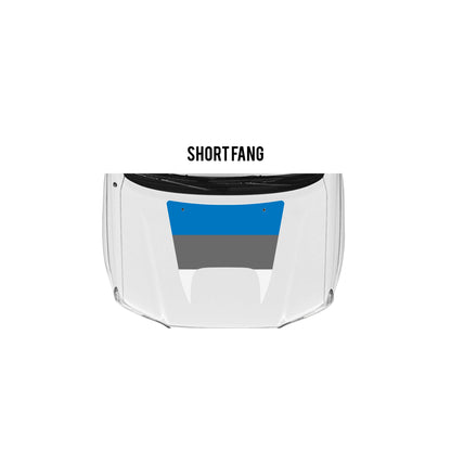 2005-15 Tacoma Checkered Stripe Kit