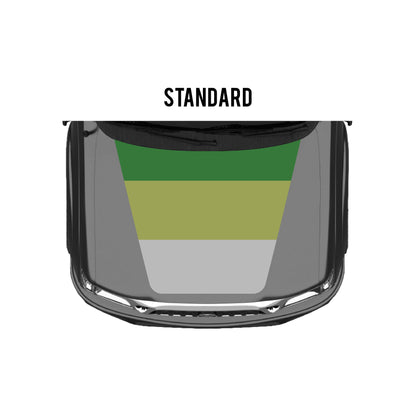 2001-04 Tacoma Checkered Stripe Kit