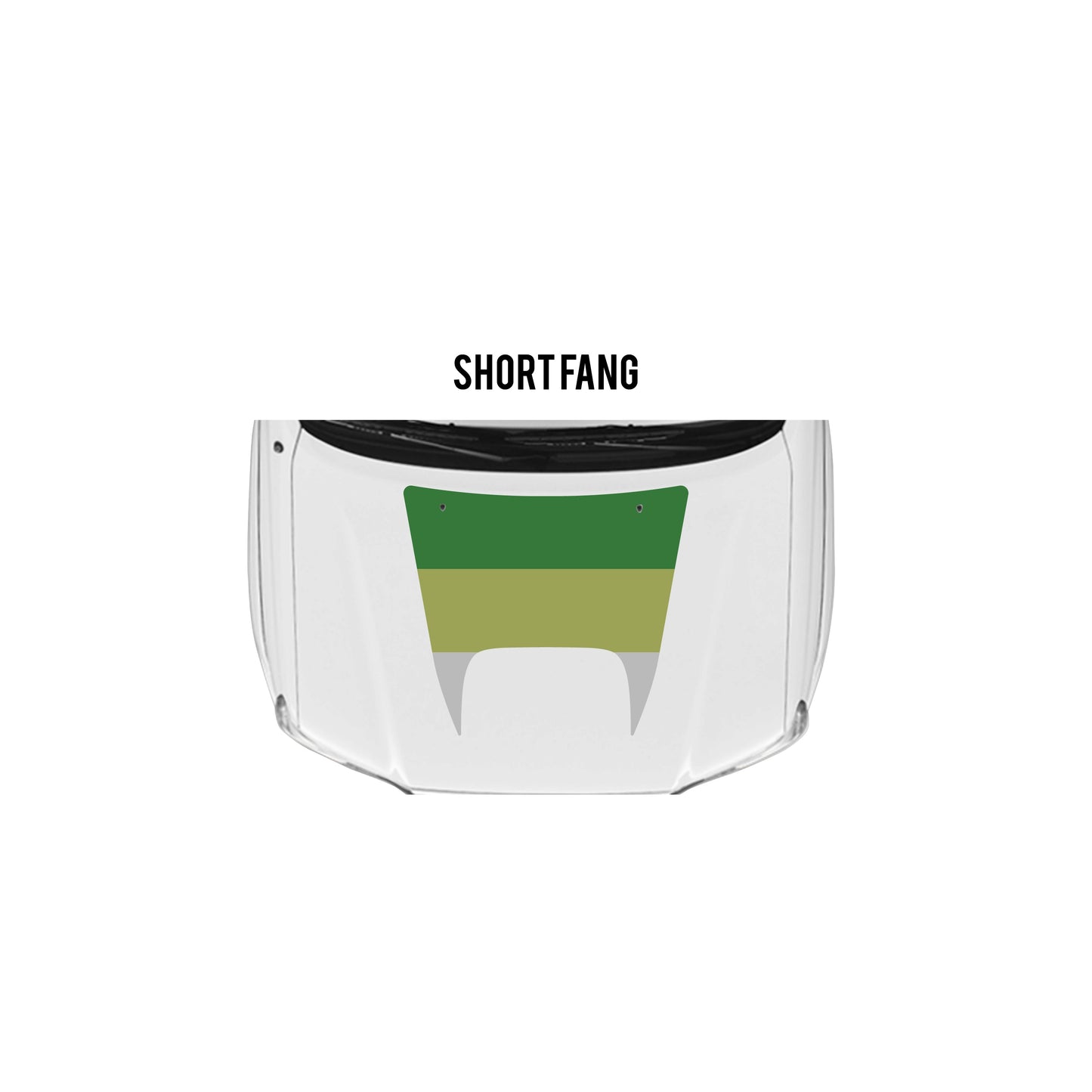 2005-15 Tacoma Checkered Stripe Kit