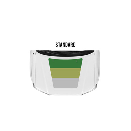 2005-15 Tacoma Checkered Stripe Kit