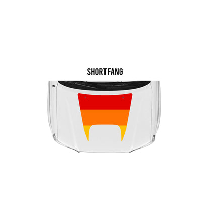 2005-15 Tacoma Checkered Stripe Kit