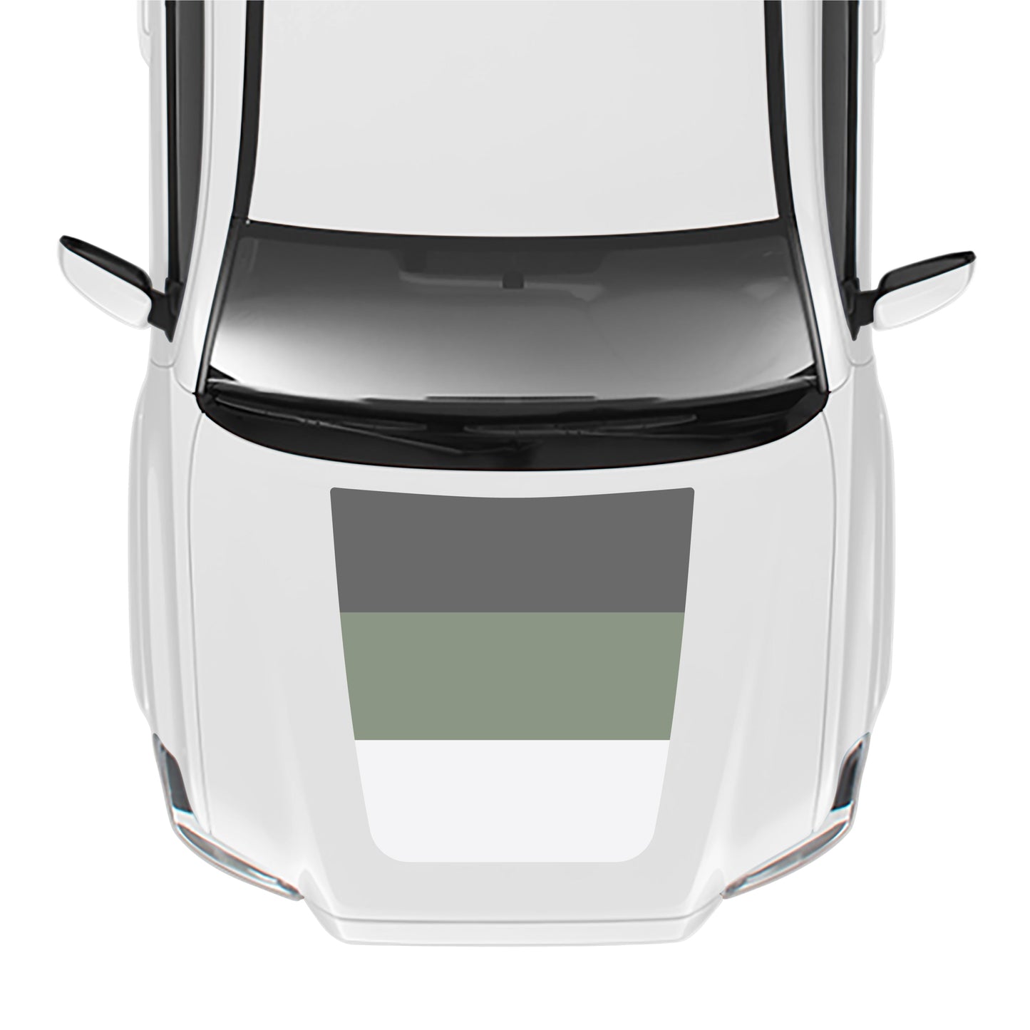 2016-23 Tacoma Off-Road/SR5 Hood Stamp