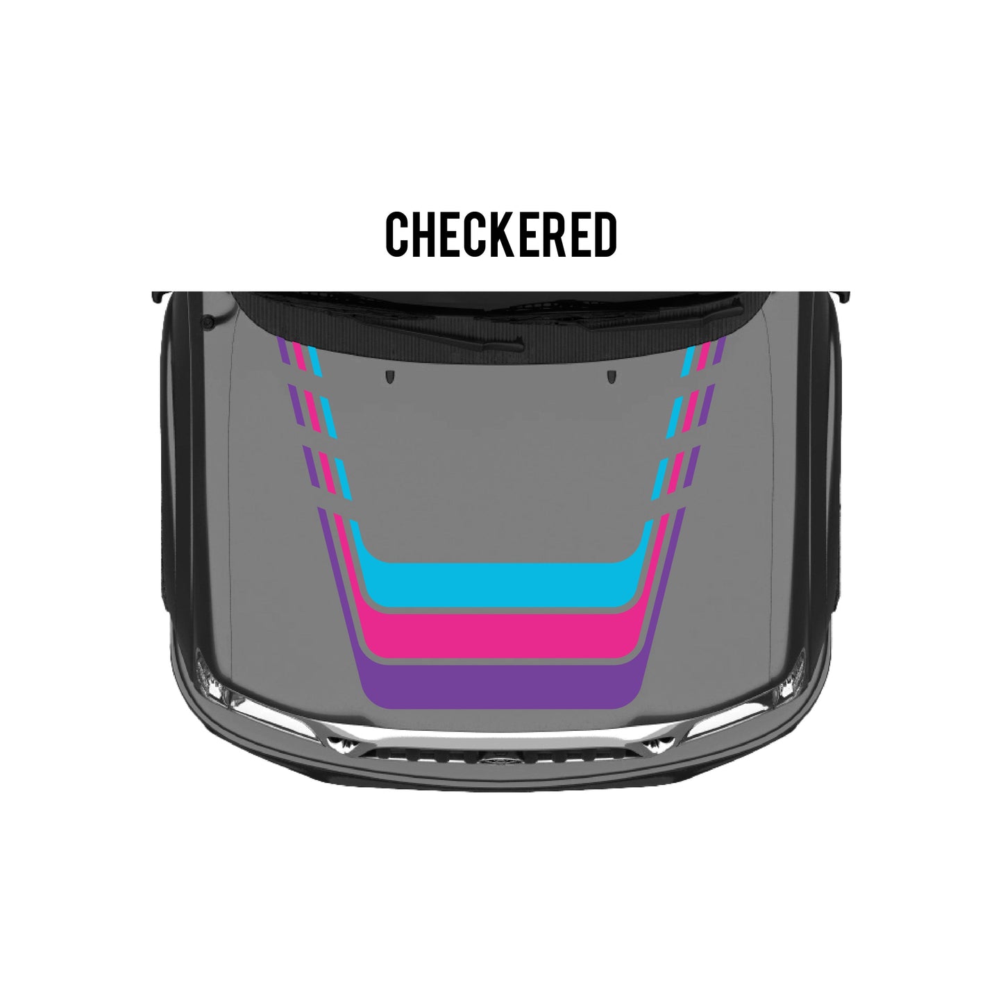 2001-04 Tacoma Checkered Stripe Kit