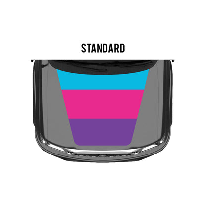 2001-04 Tacoma Checkered Stripe Kit