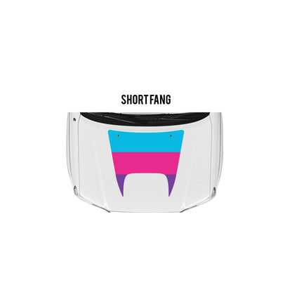 2005-15 Tacoma Checkered Stripe Kit