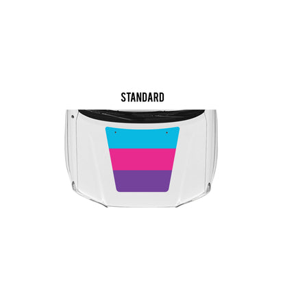 2005-15 Tacoma Checkered Stripe Kit