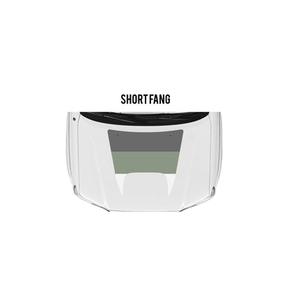 2005-15 Tacoma Checkered Stripe Kit