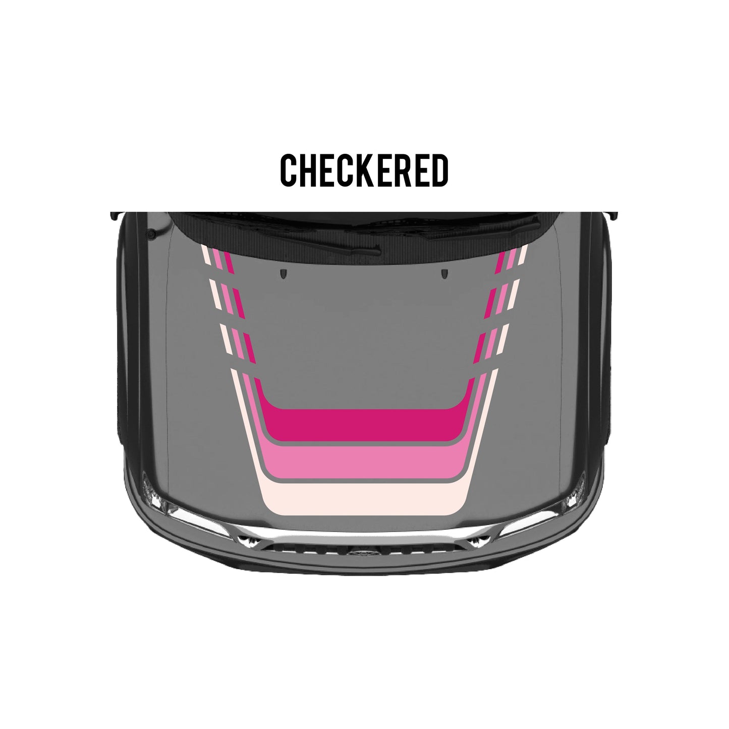 2001-04 Tacoma Checkered Stripe Kit