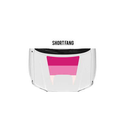 2005-15 Tacoma Checkered Stripe Kit