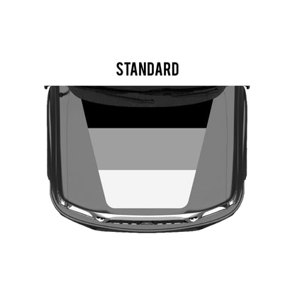 2001-04 Tacoma Checkered Stripe Kit